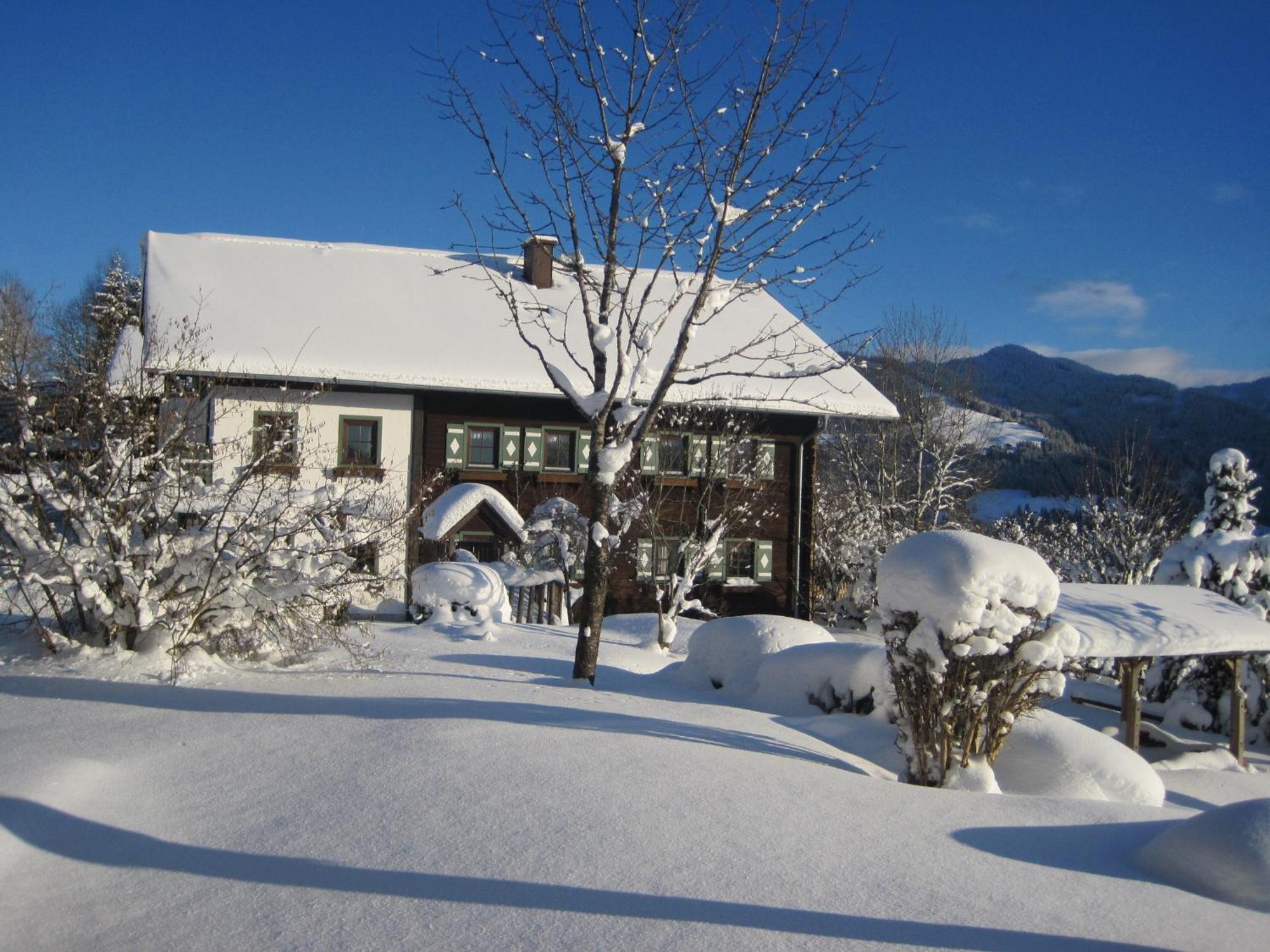 Apartment Deml Flachau Eksteriør bilde