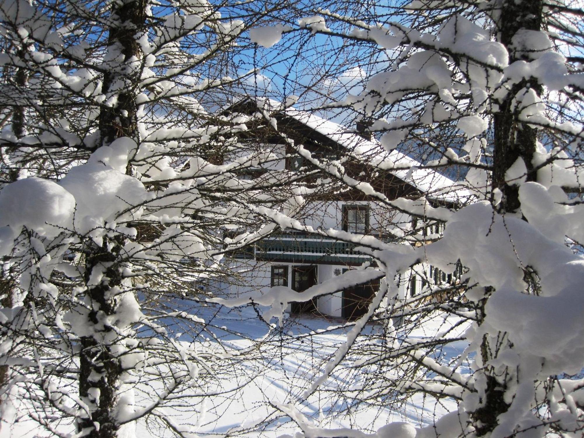 Apartment Deml Flachau Eksteriør bilde