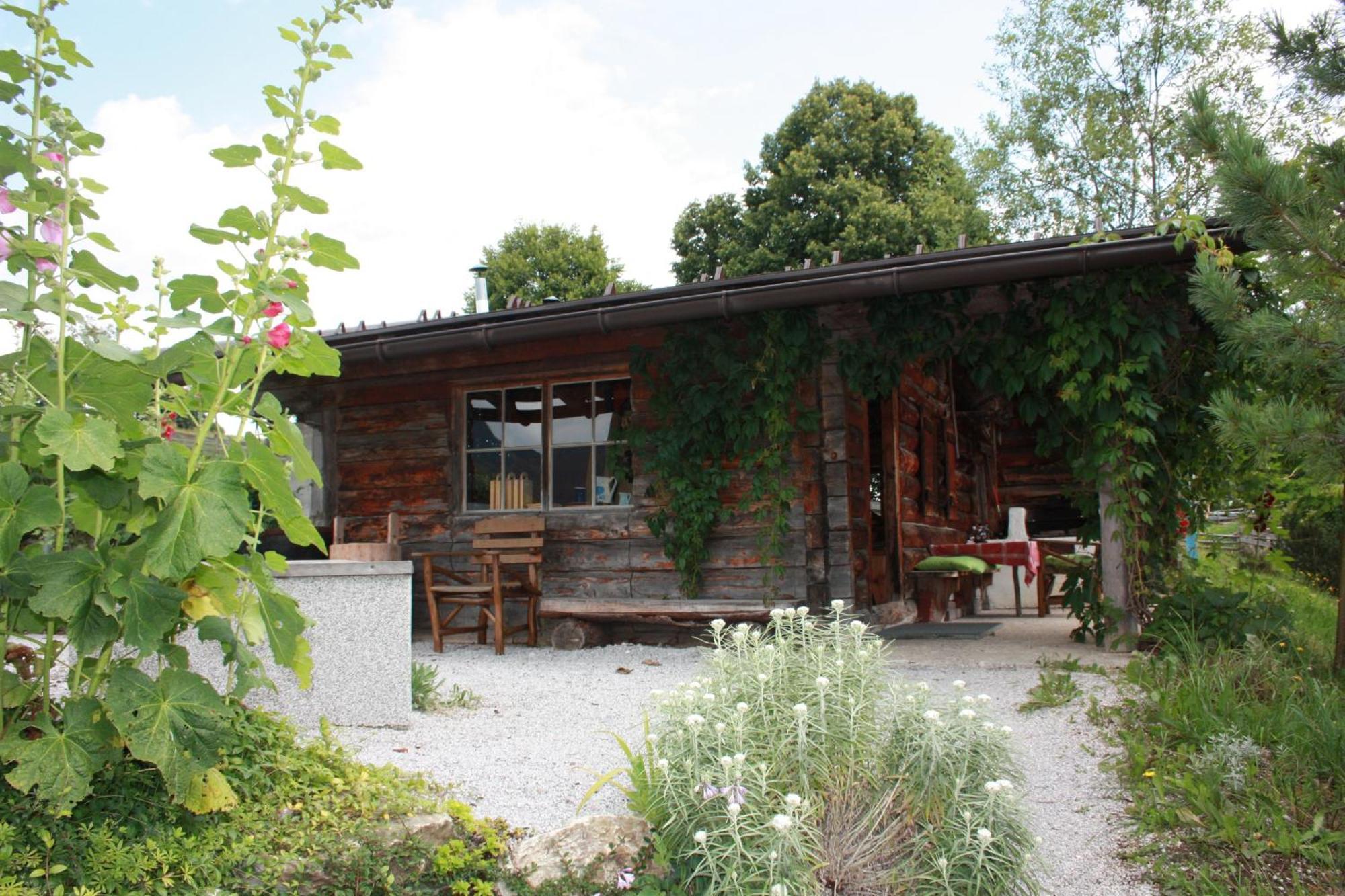 Apartment Deml Flachau Eksteriør bilde
