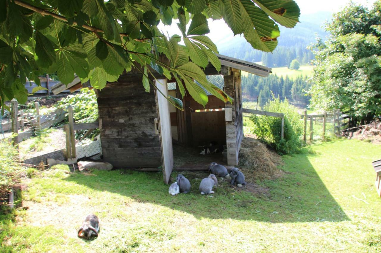 Apartment Deml Flachau Eksteriør bilde